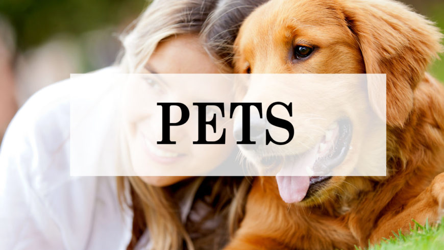 Pets